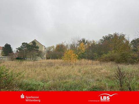 Bad Schmiedeberg Grundstücke, Bad Schmiedeberg Grundstück kaufen