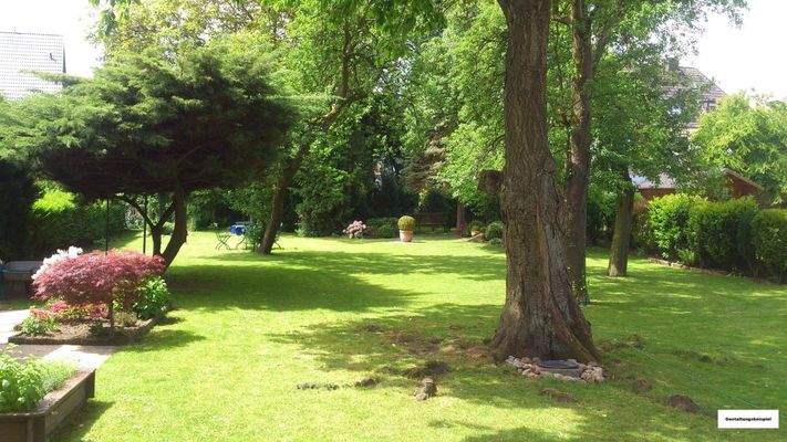 Blick in den Garten im Sommer