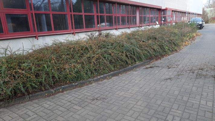 Image 2024-11-26 at 10.24.15.jpeg