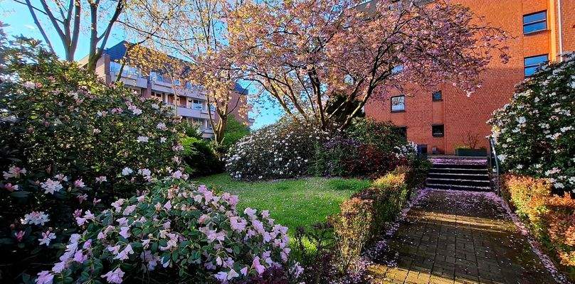 Vorplatz/Eingangsbereich 