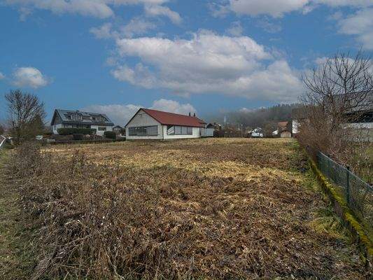 Außenansicht Hinten