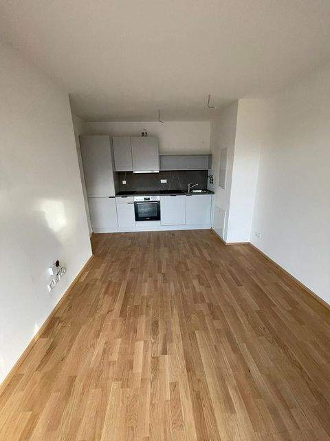 Schweinfurt Wohnungen, Schweinfurt Wohnung mieten