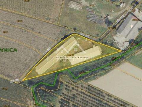 Koprivnicki Bregi Bauernhöfe, Landwirtschaft, Koprivnicki Bregi Forstwirtschaft