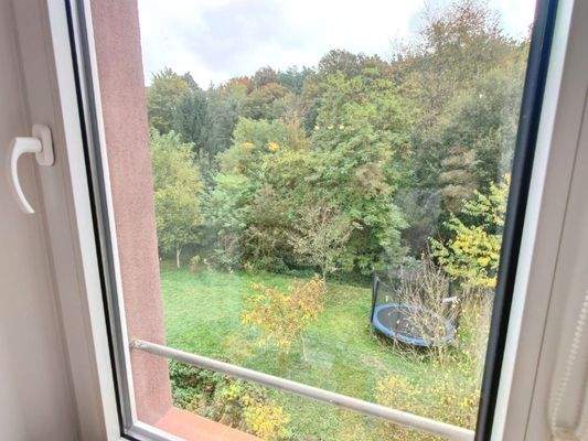 Blick aus Whg. 3 ins Grüne