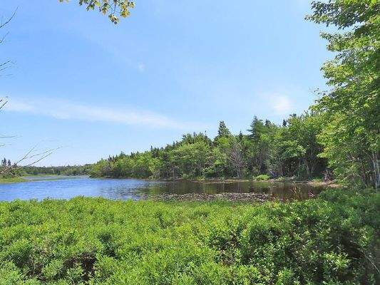 Cape Breton - Ideal für´s Kapital - Einzigartiges 