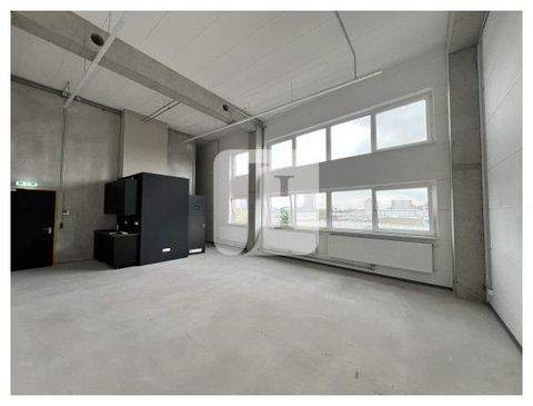 Hamburg Halle, Hamburg Hallenfläche