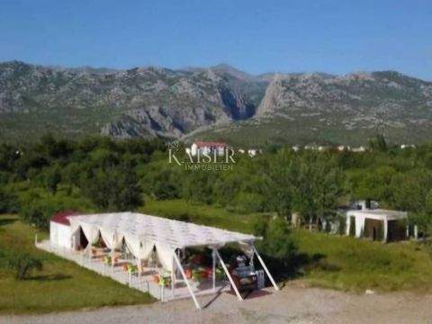 Starigrad Halle, Starigrad Hallenfläche