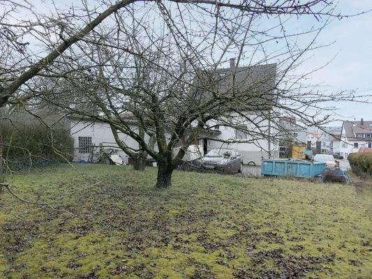 Garten Straßenseite