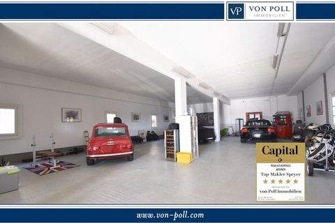 Waldsee Häuser, Waldsee Haus kaufen