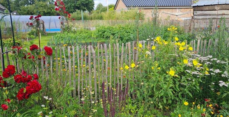 19) Holzzaun mit Blumen.jpeg