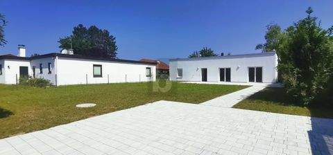 Sollenau Häuser, Sollenau Haus kaufen