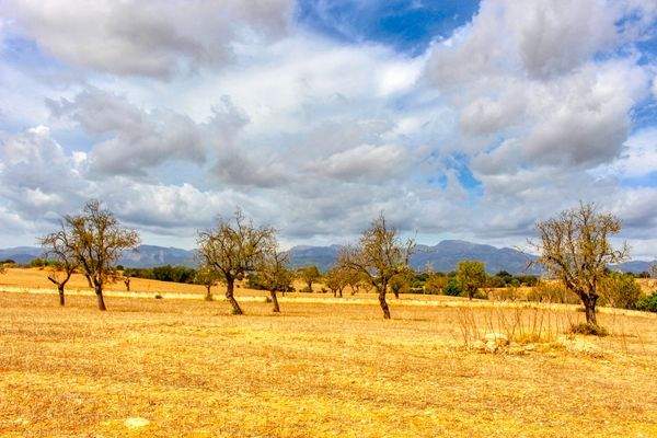 Zu-verkaufen-fantastische-Finca-in-sehr-ruhiger-Lage-bei-Costitx-Inca