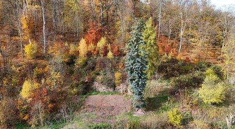 Eisenach Grundstücke, Eisenach Grundstück kaufen