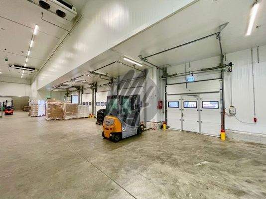 INFOS UNTER: 06171-586000