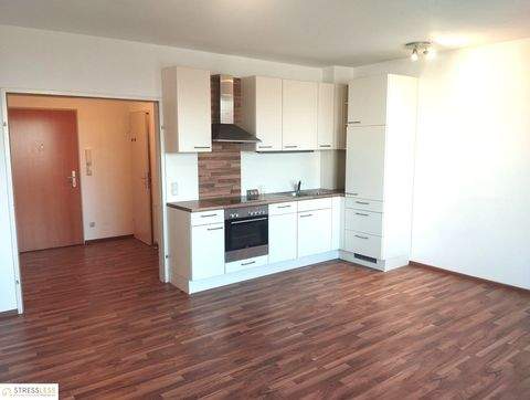 Korneuburg Wohnungen, Korneuburg Wohnung mieten