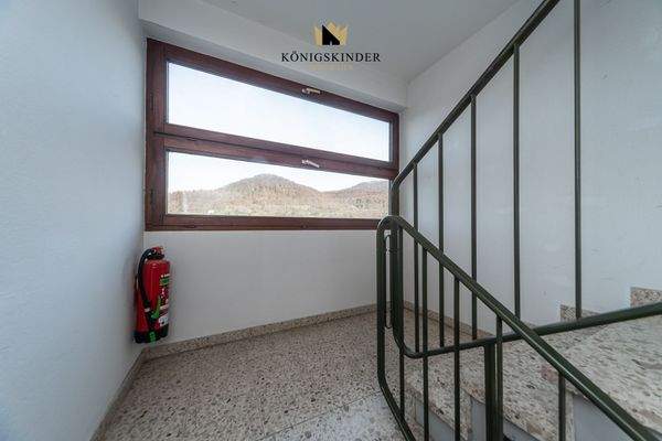 Gepflegtes Treppenhaus – lichtdurchflutet mit schöner Aussicht