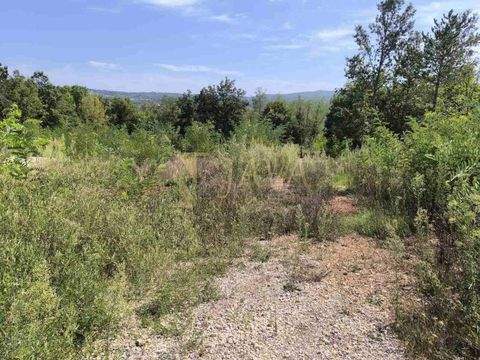 Rasa Bauernhöfe, Landwirtschaft, Rasa Forstwirtschaft