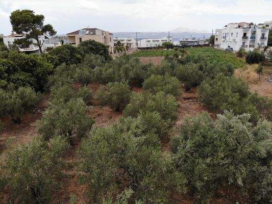 Kreta, Almyrida: Grundstück in Strandnähe mit Meerblick zu verkaufen