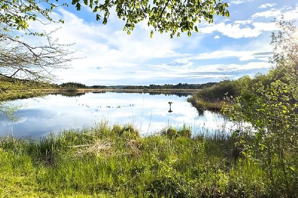 Maisinger See