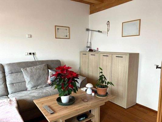 Traumhaus-Sarntal-Traumblick-Panorama-Kuot-Schneehase-20-min-zum-zentrum-Hof-geschlossener Hof-Zweitwohnung-Südtirol-Hof-Maso-Sarentino-Berghaus-