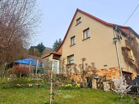 Jena Häuser, Jena Haus kaufen