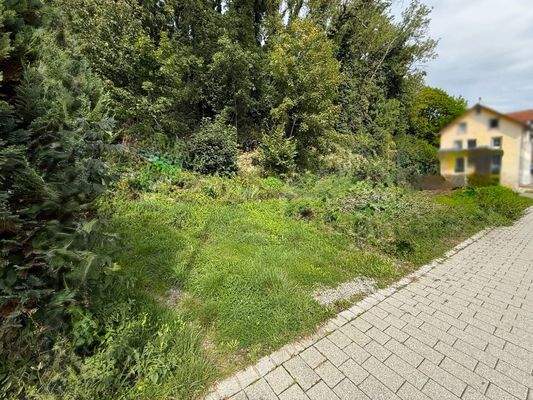 Seitenansicht links 1