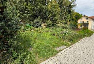 Seitenansicht links 1