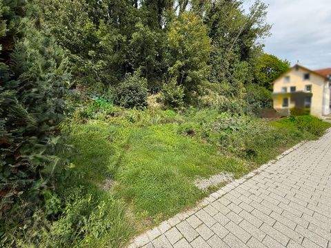 Sigmaringendorf Grundstücke, Sigmaringendorf Grundstück kaufen