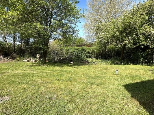 Blick in den Garten
