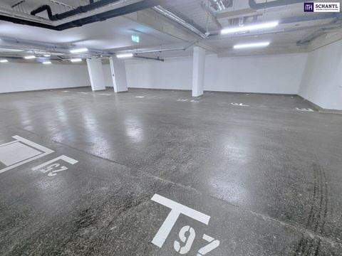 Wien Garage, Wien Stellplatz