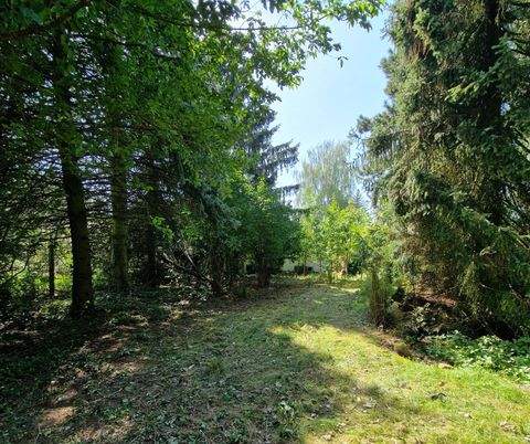 Petershagen/Eggersdorf Grundstücke, Petershagen/Eggersdorf Grundstück kaufen