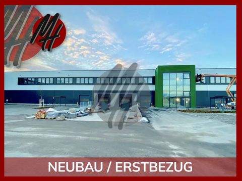 Ibbenbüren Halle, Ibbenbüren Hallenfläche