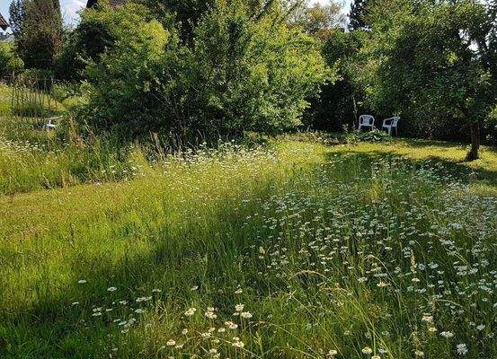 r garten stühle.jpg