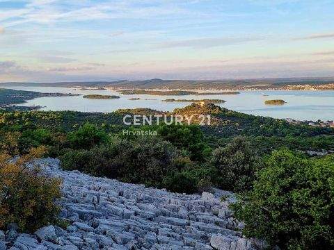 Tkon Bauernhöfe, Landwirtschaft, Tkon Forstwirtschaft