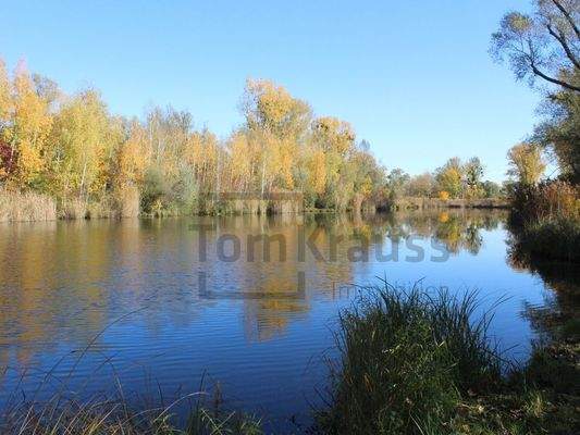 Mühlwasser - Entspannung pur