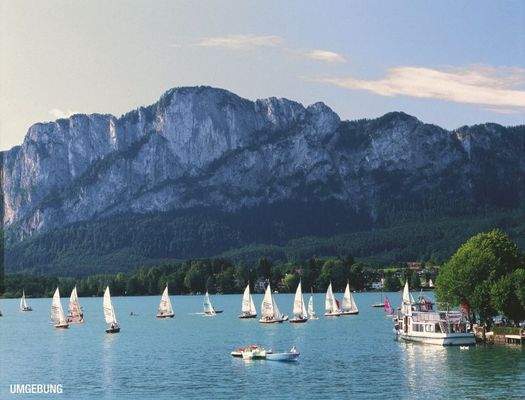 HP9-Eckreihenhaus-Mondsee-Umgebung