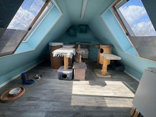 DG ausgebauter Dachboden