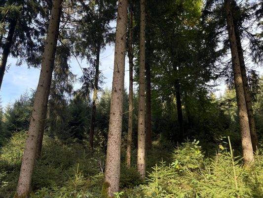 2025-10-08 15.04.59.jpg