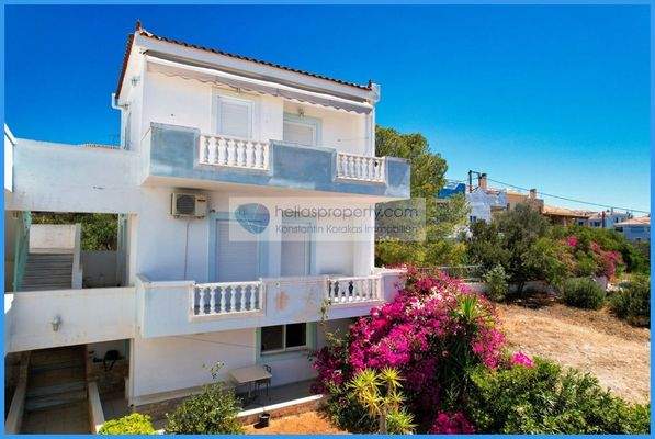 img_cd5f175c-132a-4588-8226-c116a6563ce7