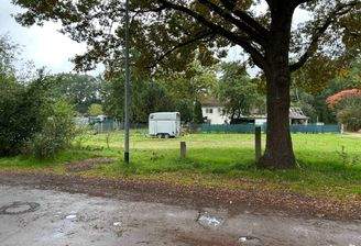 Bauland mit uralter Eiche 