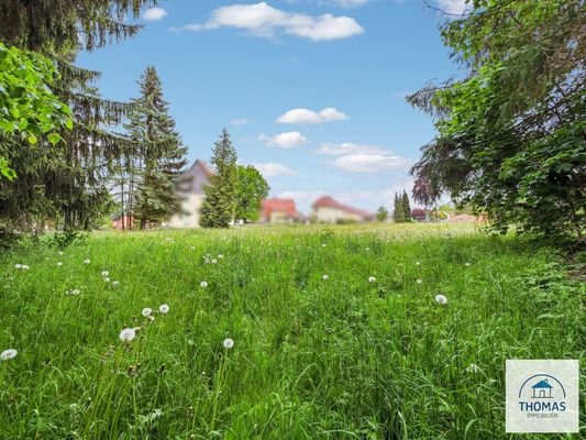 Blick 2 vom Waldesrand