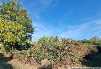 Baugrundstücke Teilansicht