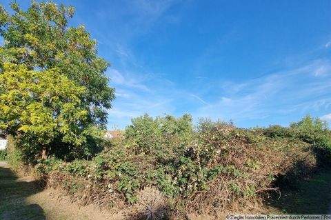 Mannheim Grundstücke, Mannheim Grundstück kaufen