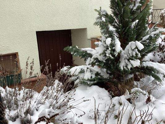 Kellerzugang Nebengebäude