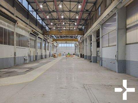 Krefeld Halle, Krefeld Hallenfläche