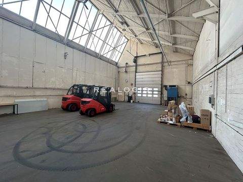 Reinbek Halle, Reinbek Hallenfläche