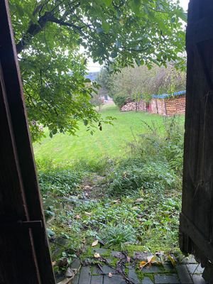 Grünland