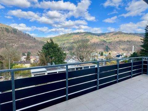 Heidelberg Häuser, Heidelberg Haus mieten 