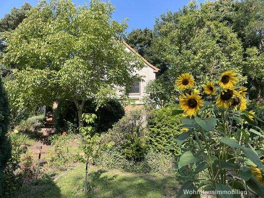 Haus im Garten zu entdecken