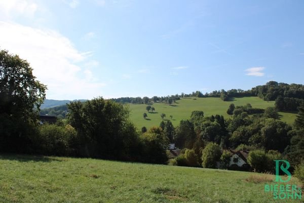 Ausblick (F)